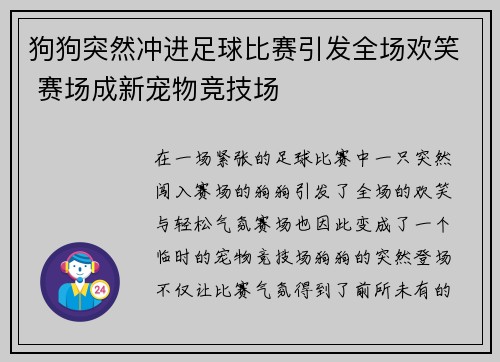 狗狗突然冲进足球比赛引发全场欢笑 赛场成新宠物竞技场