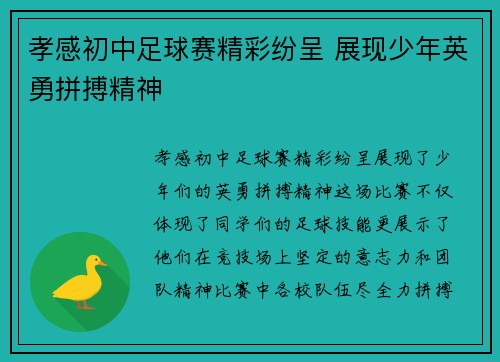 孝感初中足球赛精彩纷呈 展现少年英勇拼搏精神
