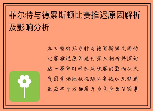 菲尔特与德累斯顿比赛推迟原因解析及影响分析