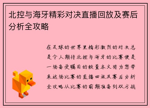 北控与海牙精彩对决直播回放及赛后分析全攻略